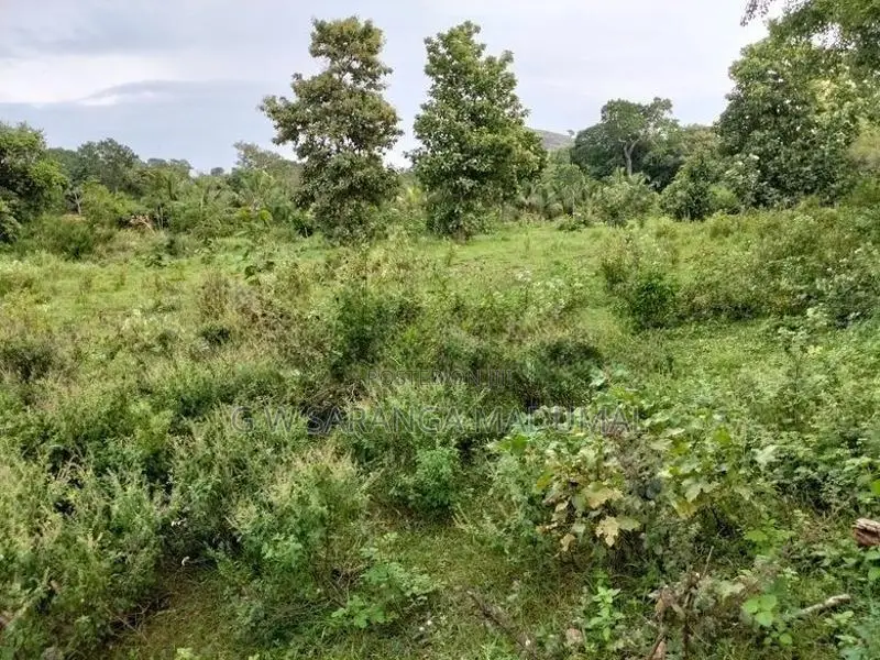Land for Sale Hambegamuwa