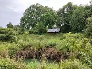 Land for Sale Hambegamuwa