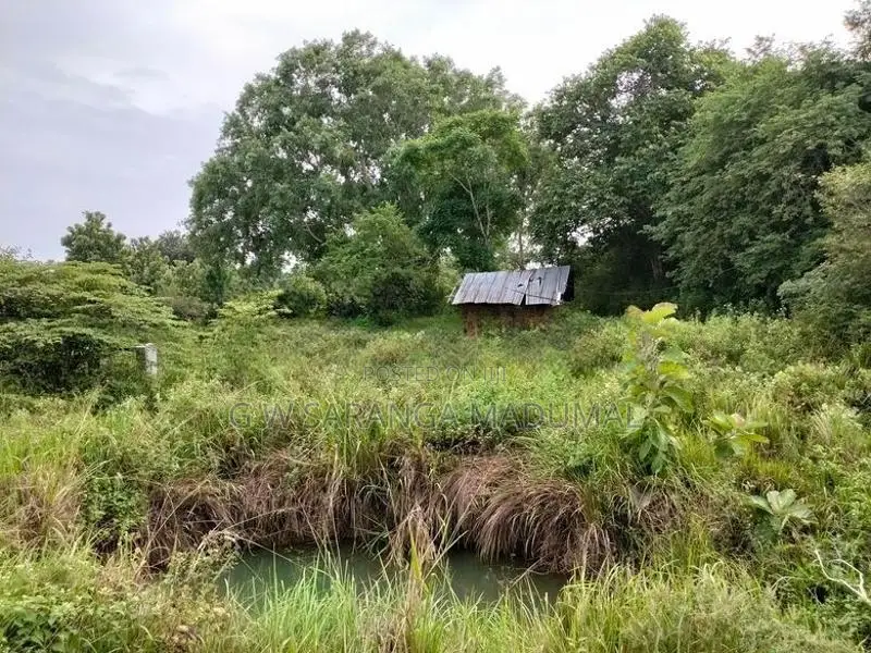 Land for Sale Hambegamuwa
