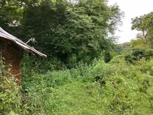 Land for Sale Hambegamuwa