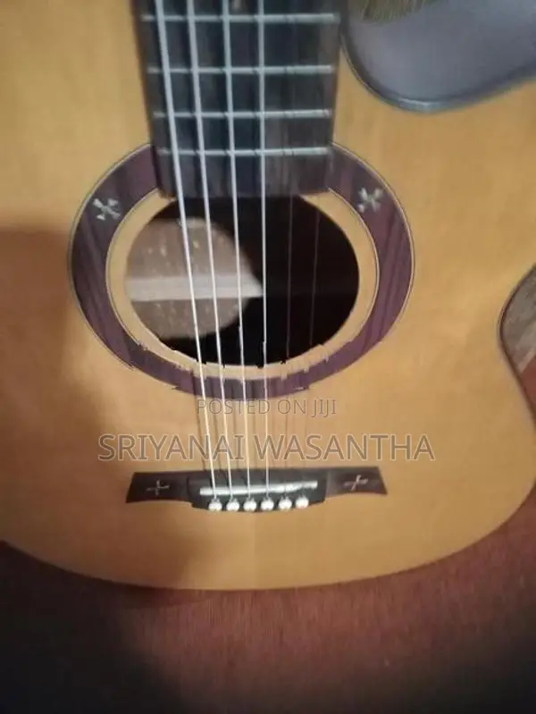 Guitar
