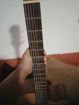 Guitar