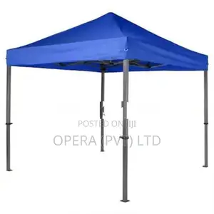 Brand New Canopy Tent