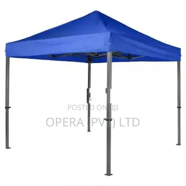 Brand New Canopy Tent