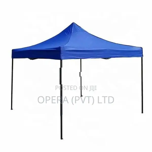 Brand New Canopy Tent