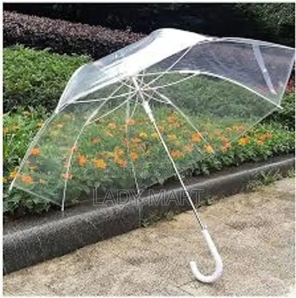 Transparent Umbrella