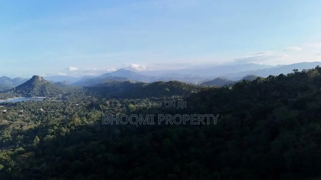 Land for Sale Digana Area