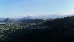 Land for Sale Digana Area