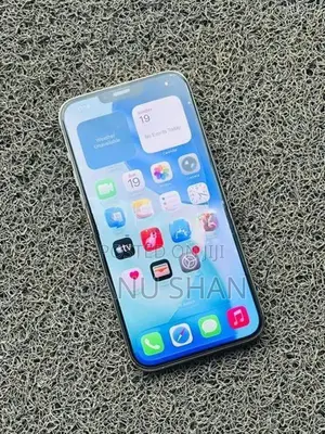 Apple iPhone 13 Pro Max (Used)