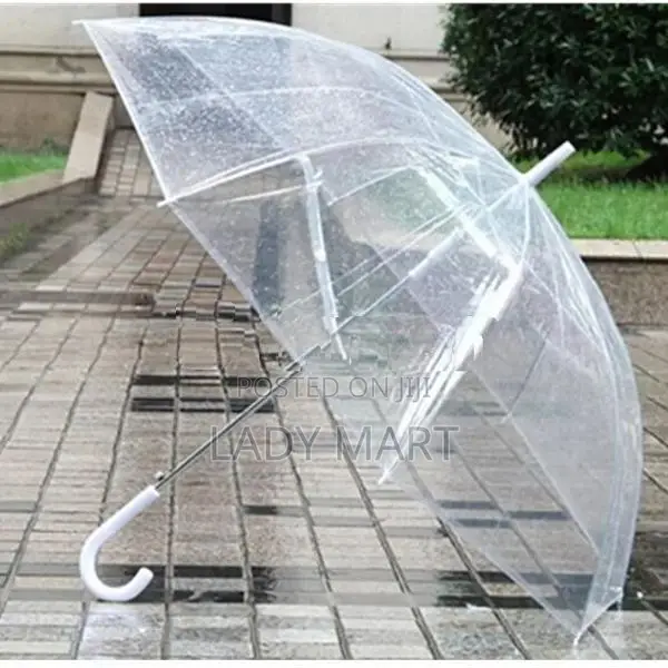 Transparent Umbrella