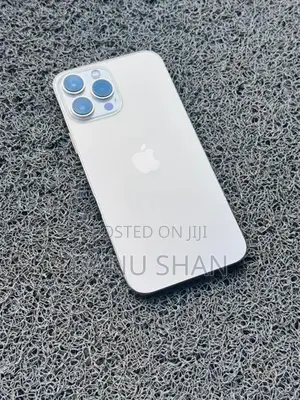 Apple iPhone 13 Pro Max (Used)