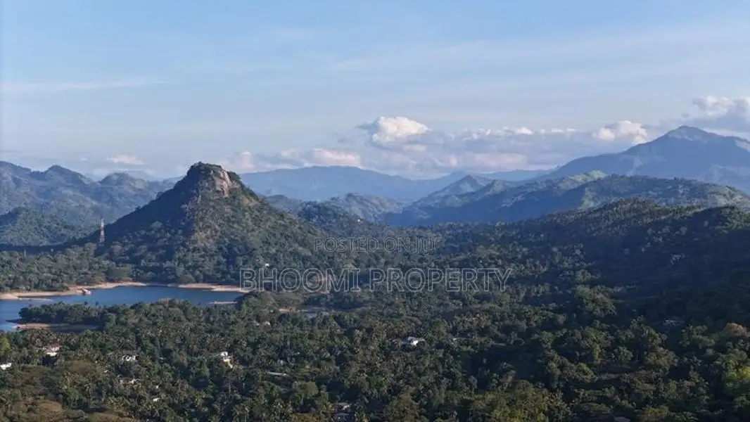 Land for Sale Digana Area