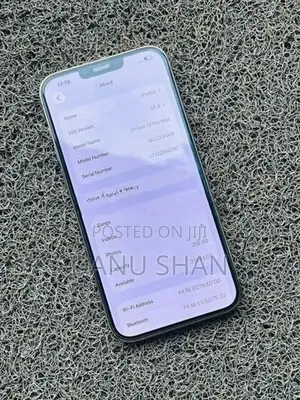 Apple iPhone 13 Pro Max (Used)