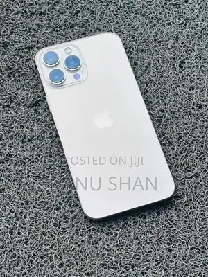 Apple iPhone 13 Pro Max (Used)
