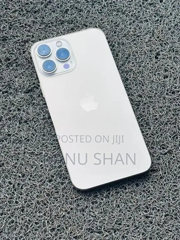 Apple iPhone 13 Pro Max (Used)