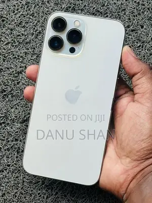 Apple iPhone 13 Pro Max (Used)