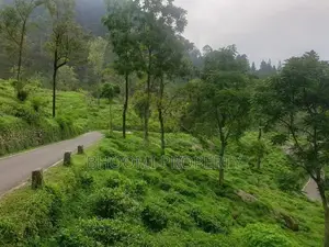 Land for Sale Haputale