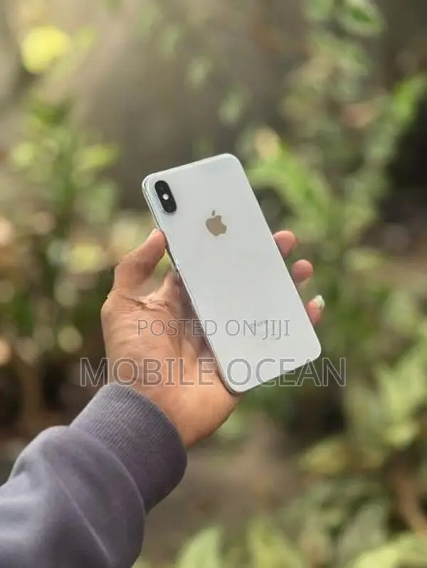 Apple iPhone XS Max 256GB (Used)