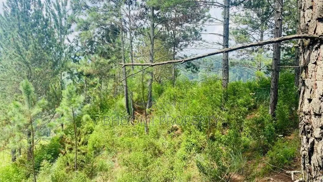 Land for Sale ඇල්ල