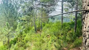 Land for Sale ඇල්ල