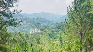 Ella Land for Sale