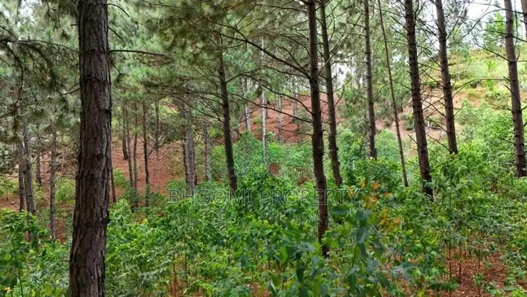 Ella Land for Sale