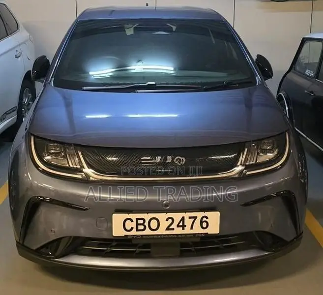 BYD Dolphin Dynamic 70 2025