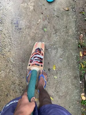 Leder Bat