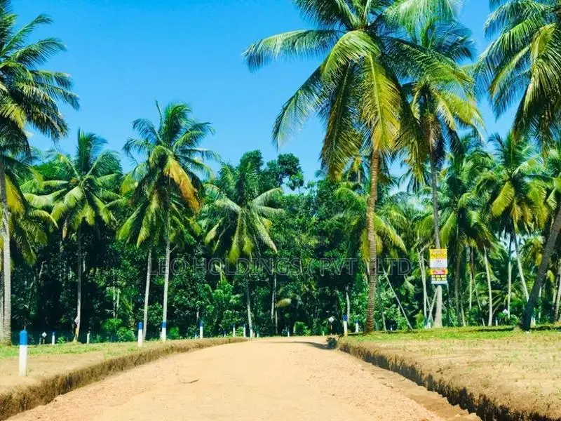 Land For Sale in Malpitiya