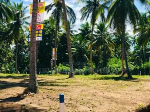 Land For Sale in Malpitiya
