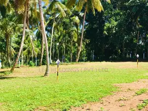 Land For Sale in Malpitiya
