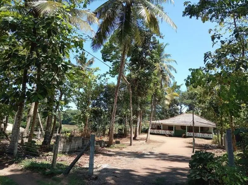 Land for Sale in Katana