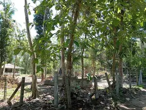 Land for Sale in Katana