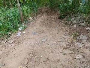 Wallawaya Land for Sale