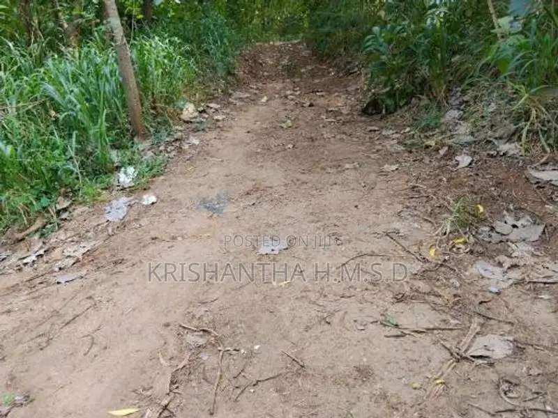 Wallawaya Land for Sale