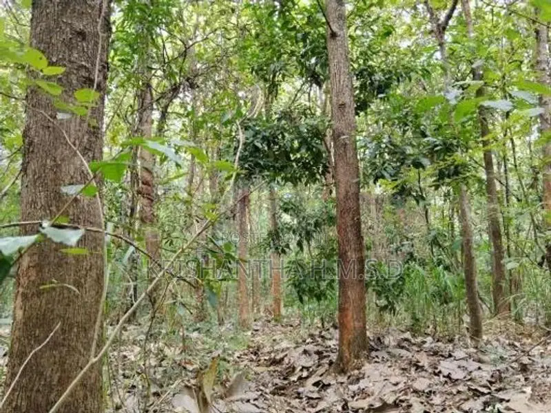 Wallawaya Land for Sale
