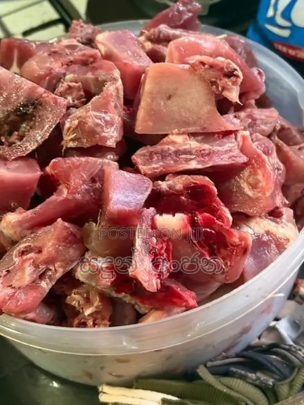 Meat for Dogs