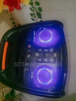 Party Box Speaker