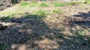 Land for Sale Ananda Maiththry Mawatha Maharagama