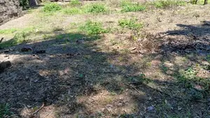 Land for Sale Ananda Maiththry Mawatha Maharagama