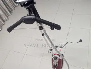 Garment Steamer