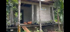 Half Build House for Sale Ratnapura