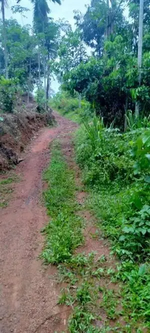 Land for Sale Udakanugala