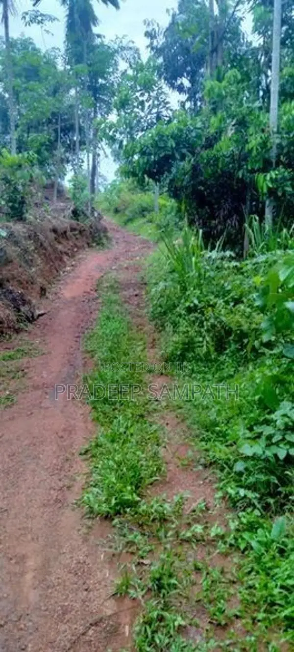 Land for Sale Udakanugala