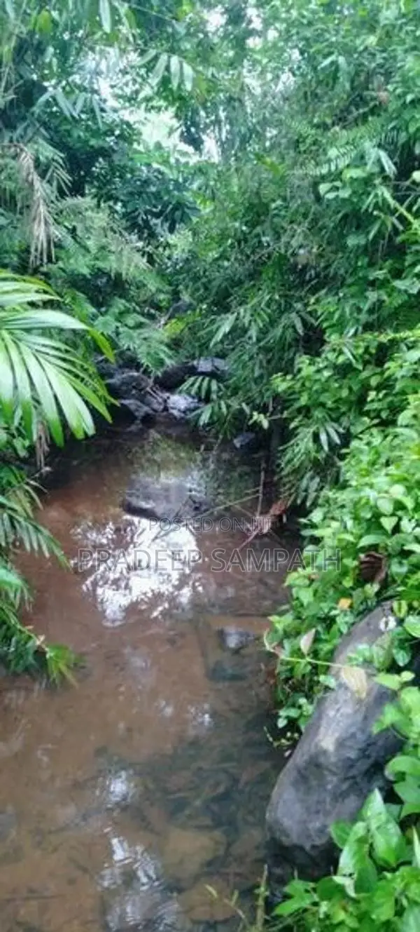 Land for Sale Udakanugala