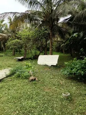 Land for Sale Anuradhapura