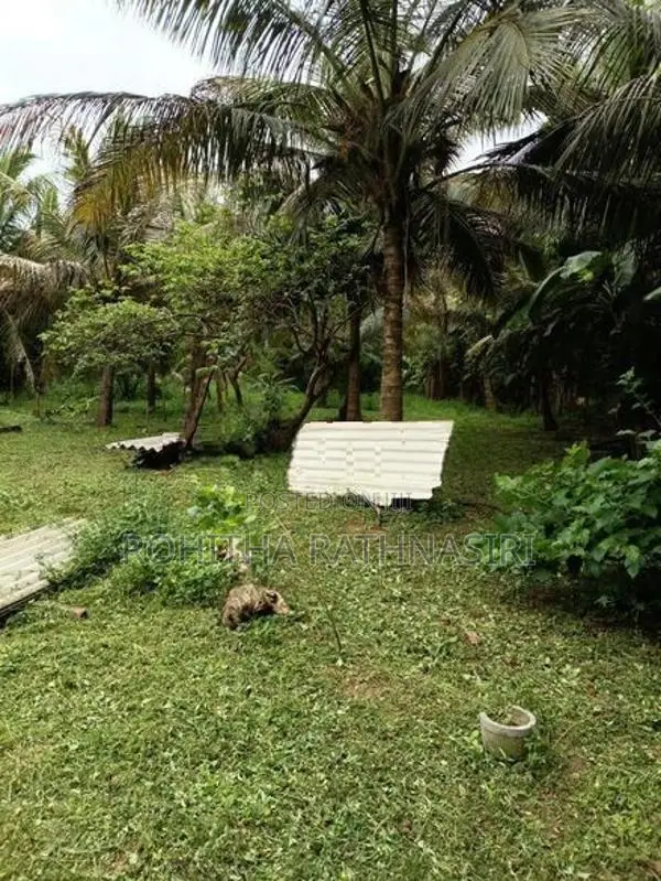 Land for Sale Anuradhapura