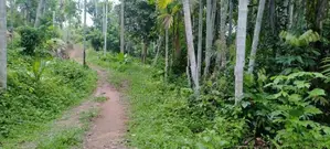 Land for Sale Udakanugala