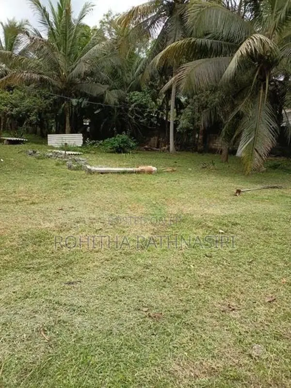 Land for Sale Anuradhapura