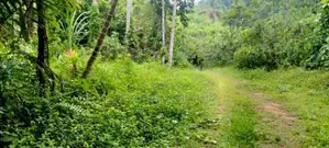 Land for Sale Udakanugala